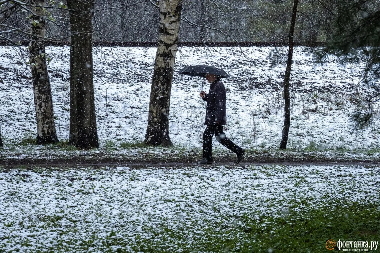 Ночью 13 мая в регионе прогнозируют температуру от −1 до −6 °C, а также сильный ветер и снегопады. Подробные сводки доступны на региональных метеорологических ресурсах.