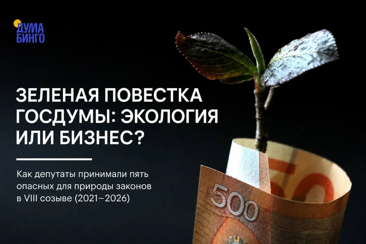 Анализ недавних инициатив Госдумы показывает тенденцию к ослаблению экологической защиты — от ограничения общественной экспертизы до изменений в границах заповедников, правил охоты и порядка добычи редких видов.