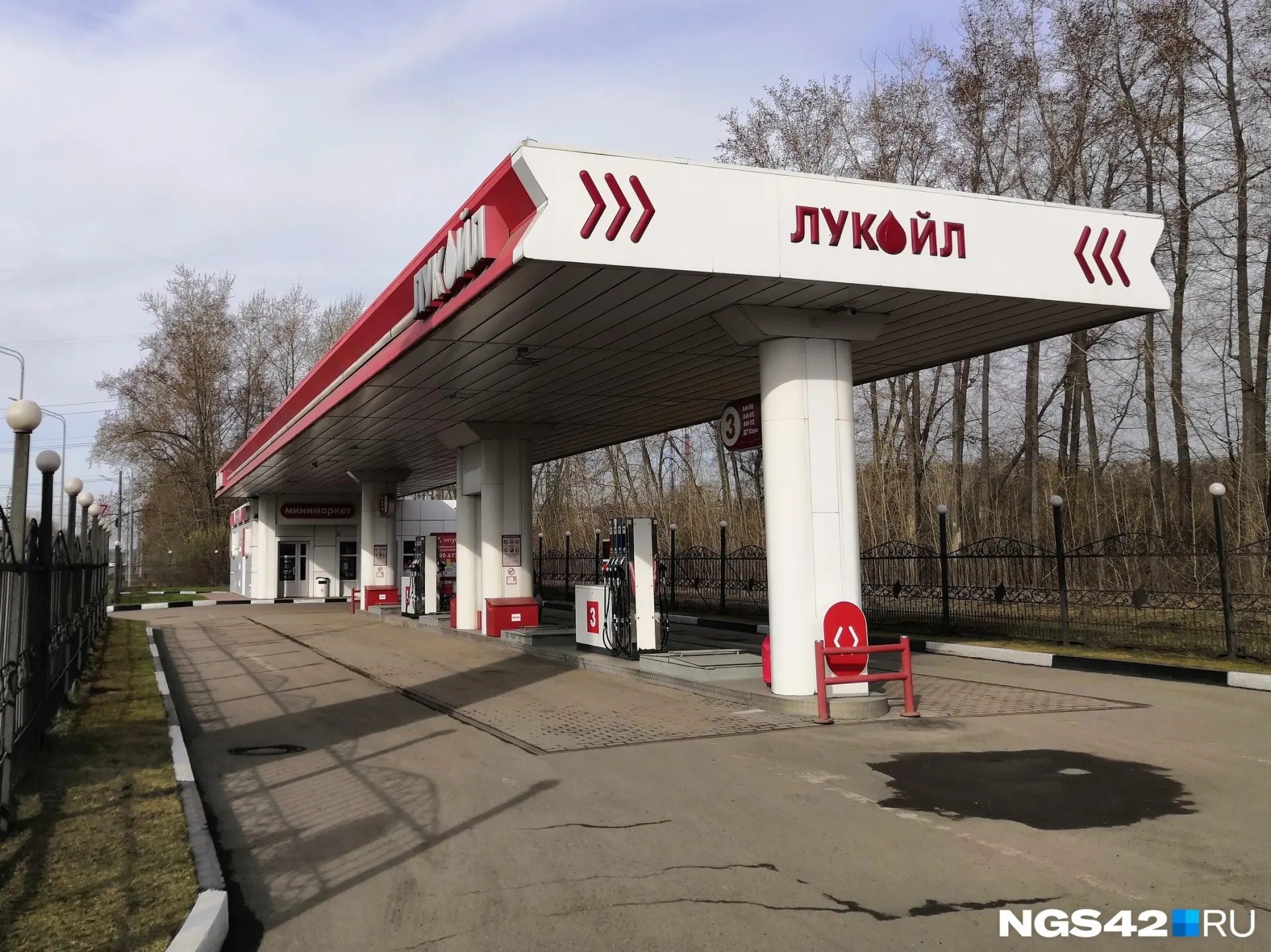 Власти региона заявляют о снижении цен на бензин на заправках сети Лукойл, в то время как водители отмечают рост на заправках Газпромнефти; данные сопоставляются с официальной статистикой.