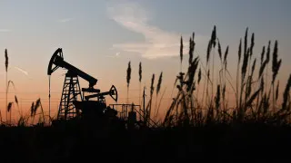 Доля нефтегазового сектора в российском ВВП в прошлом году снизилась до 13% — это минимум с 2017 года, а падение отраслевой ренты уже ударило по бюджетным доходам и инвестициям в добычу.
