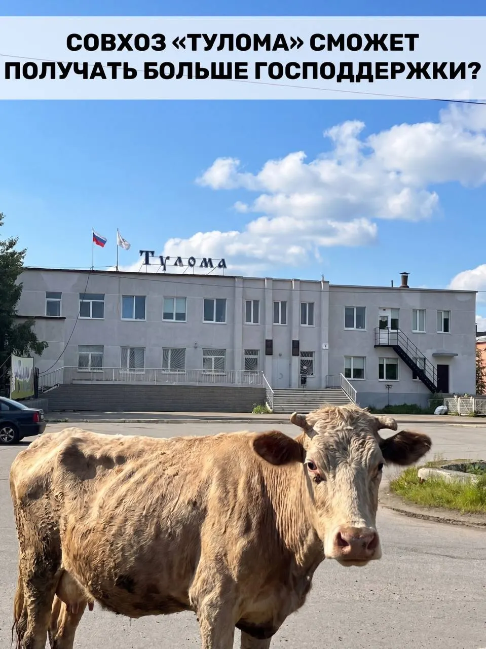 Минсельхоз расширил критерии субсидирования: теперь федеральную поддержку смогут получать хозяйства, где государству или муниципалитету принадлежит более 25% доли. Для Мурманской области это важно, однако на некоторых фермах сохраняется критическая ситуация.