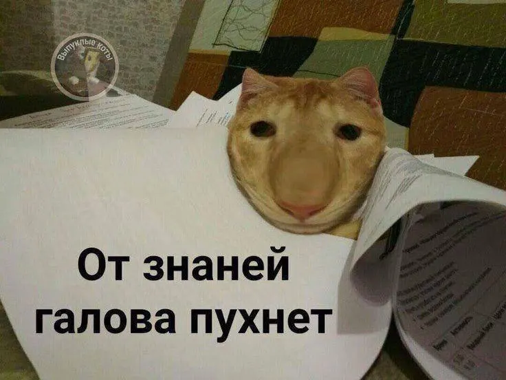Министр спорта анонсировал тестовый запуск нормативов по управлению небольшим дроном — значок ГТО по этому испытанию может принести до 10 баллов к экзамену.