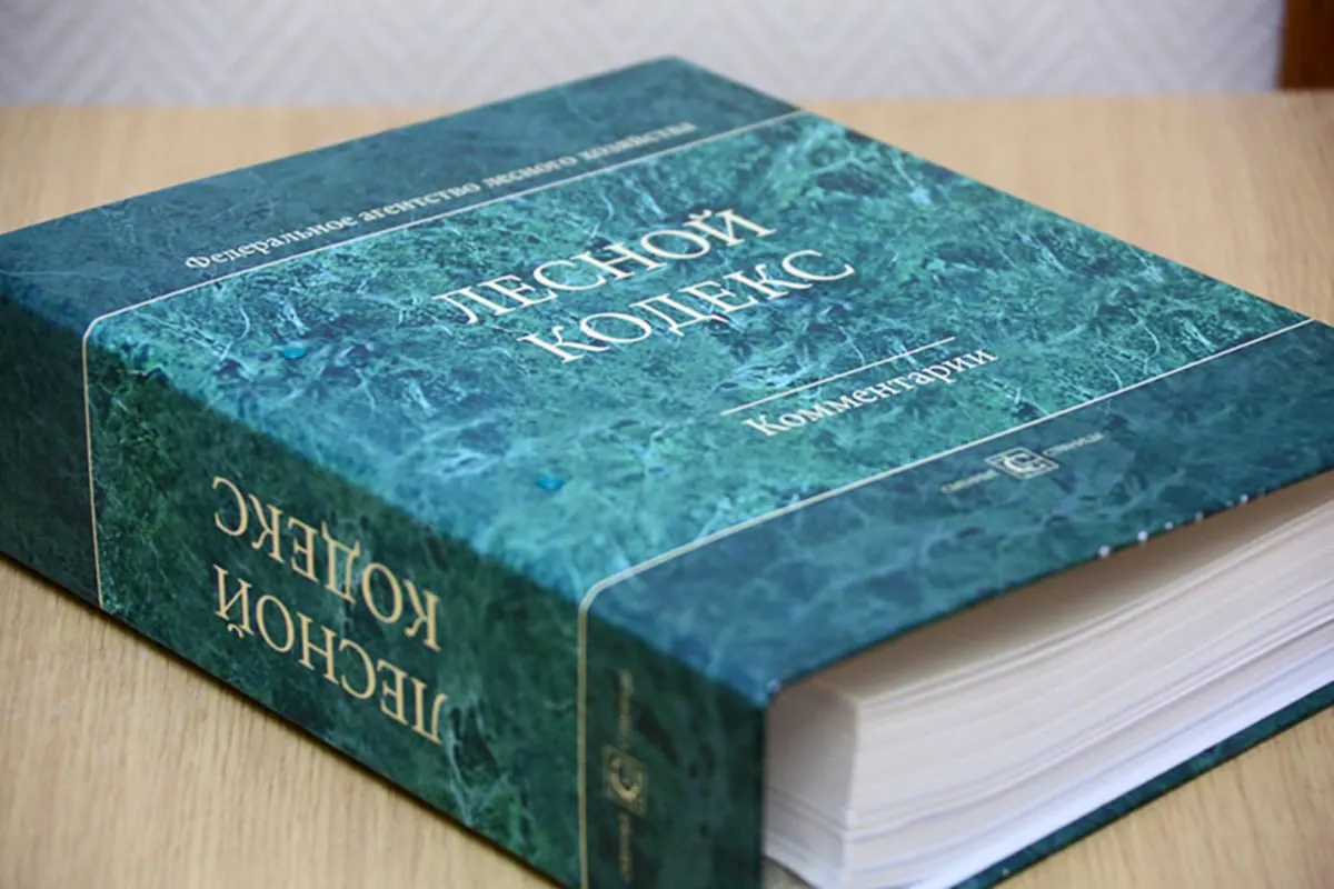 С 2006 года в Лесной кодекс внесено 79 пакетов поправок; эксперт по лесному хозяйству считает, что кодекс устарел и требует полной замены и существенного упрощения.
