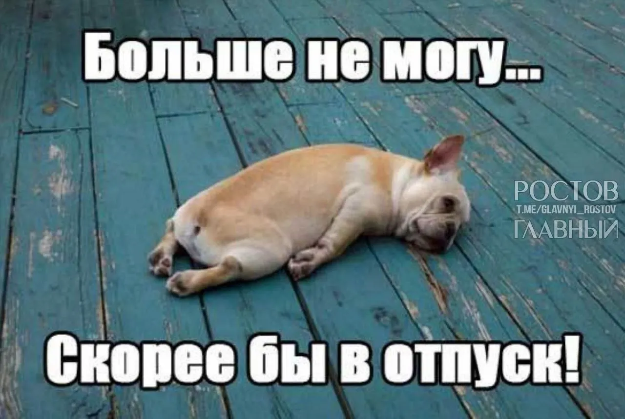 Депутаты предлагают поднять минимальную продолжительность отпуска с 28 до 35 дней — это должно компенсировать выходные, которые сейчас включены в отпуск, и помочь снизить выгорание.
