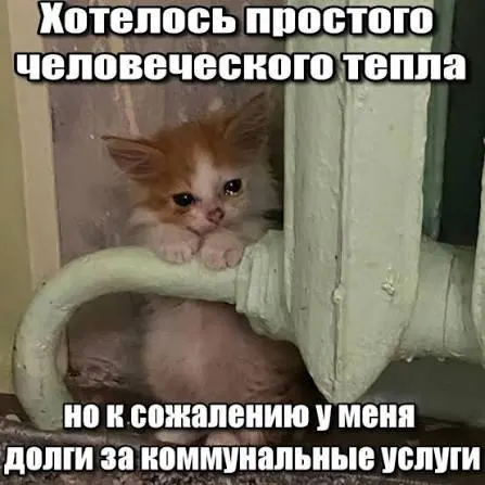 ВС подтвердил, что операторы капремонта не вправе требовать в платёжных документах задолженности старше трёх лет: суд обязал убрать из квитанций долги за капремонт за период 2016–2023 годов.