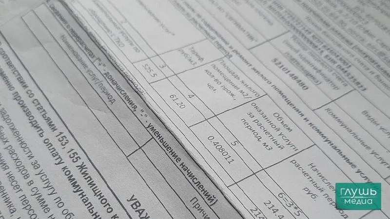 Депутаты предложили не отключать коммунальные услуги за долги без судебного решения. После вынесения решения должник получит уведомление о сумме долга и сроке погашения или возможности рассрочки.