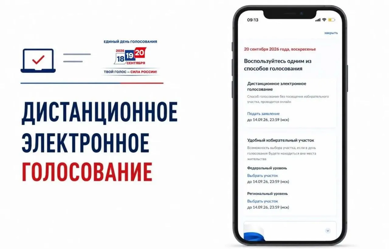 Старт приема заявлений на дистанционное электронное голосование вызывает озабоченность: оппозиционные активисты называют систему аферой и подчёркивают её непрозрачность.