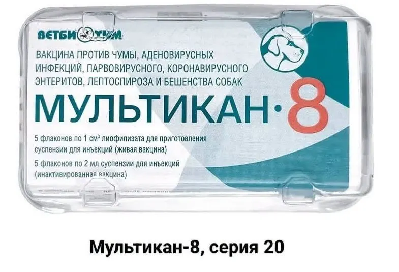 Владельцы собак, погибших после прививки «Мультикан-8», обратились к блогерам, активистам и журналистам с просьбой довести произошедшее до огласки; утверждают, что лаборатории отказываются проводить тесты на вирус Ауески и что улики могут уничтожаться.