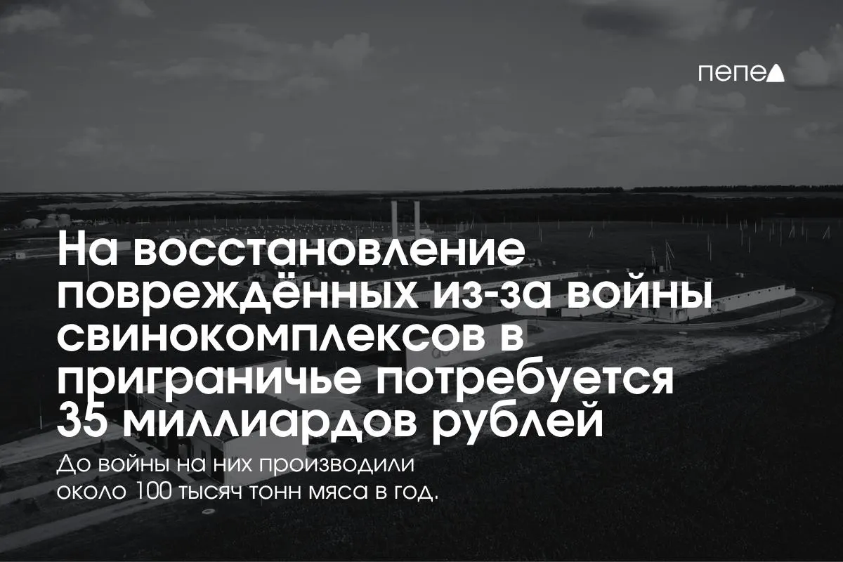 Оценка восстановления хозяйств, пострадавших от обстрелов и атак БПЛА, достигает 35 млрд рублей. В регионе отмечают рост затрат на безопасность, часть ферм закрылась, а Белгородская область обеспечивает значительную долю российского свинины.