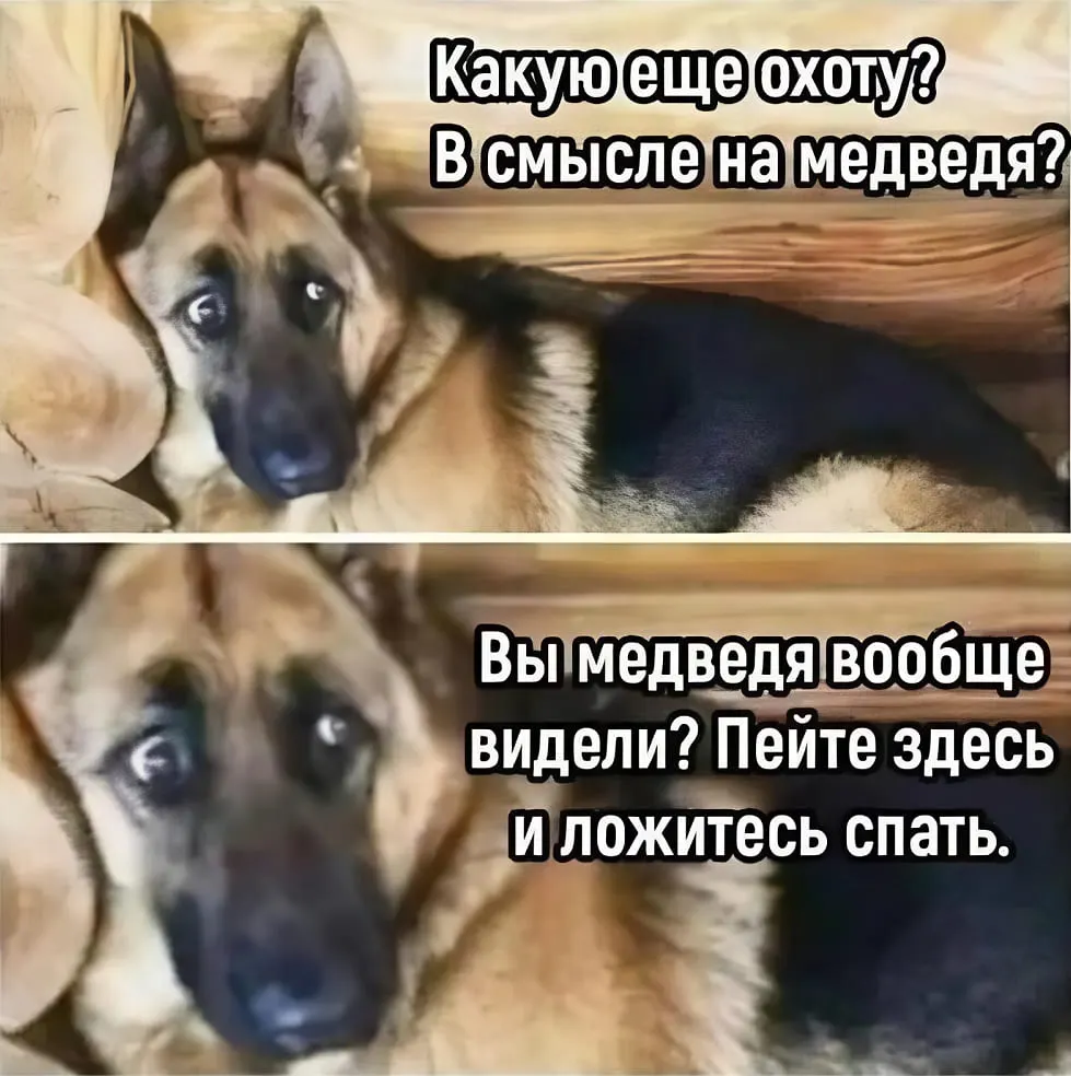 В регионе разгорается спор вокруг новых правил выдачи лицензий на охоту: власти призывают сохранять промысел, а часть охотников обсуждает бойкот, который может затронуть и обычных жителей таёжных районов.