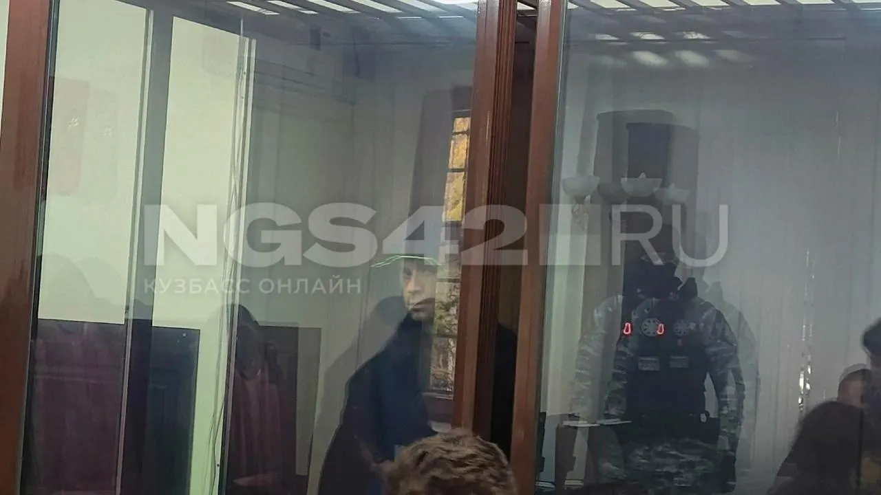 Суд Центрального района города Кемерово поместил под домашний арест бывшего генерального директора угольной компании «Северный Кузбасс» Станислава Лупия по делу о сокрытии средств и невыплате зарплат шахтёрам.