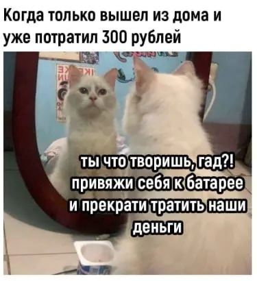 За шесть месяцев жители региона зафиксировали рост доходов, однако траты увеличились быстрее заработков, что влияет на семейный бюджет.